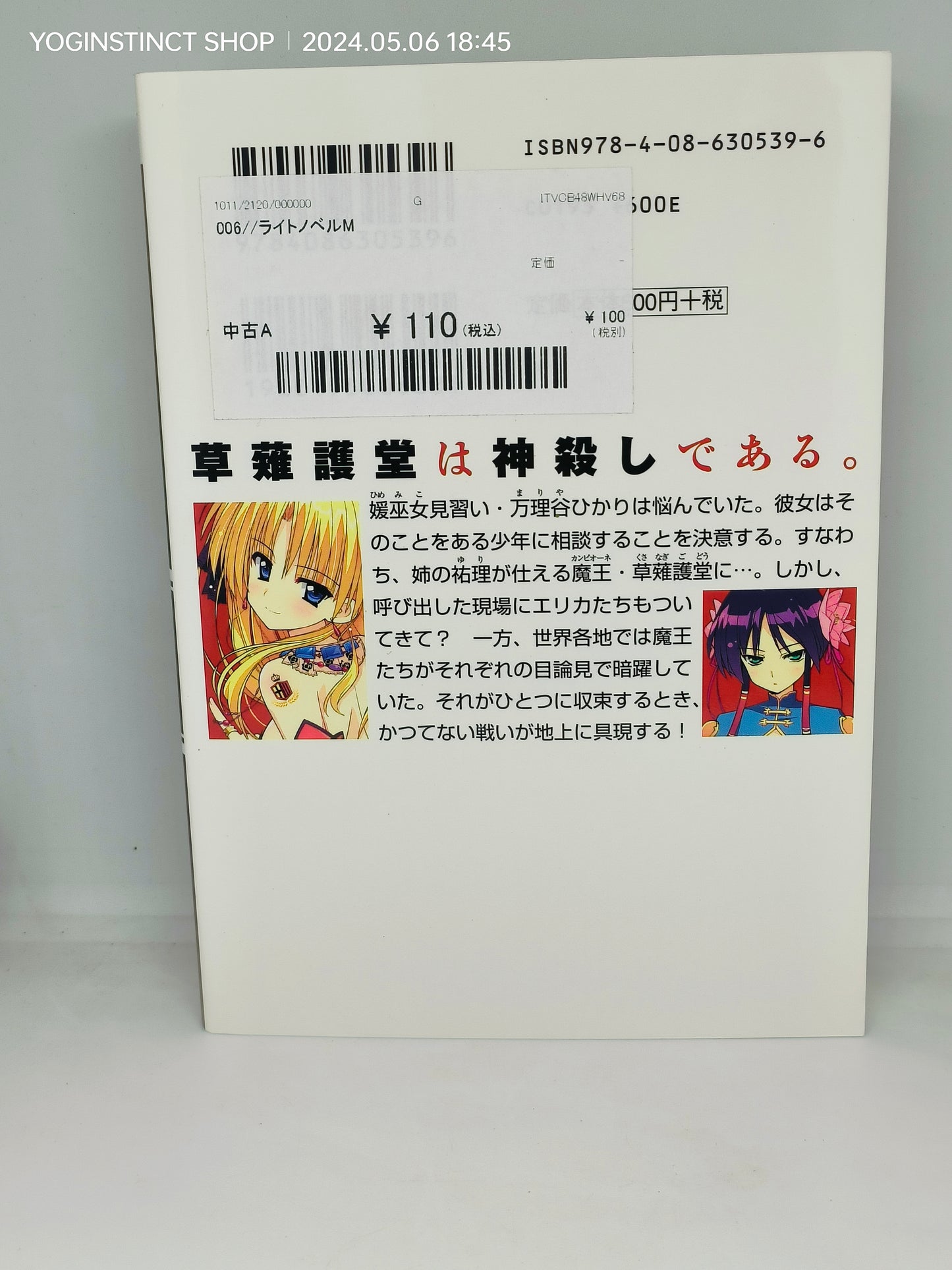 Campione!
Novel series Written by
Jō Taketsuki (9-6)