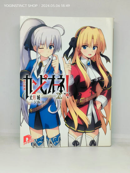 Campione!
Novel series Written by
Jō Taketsuki (9-10)