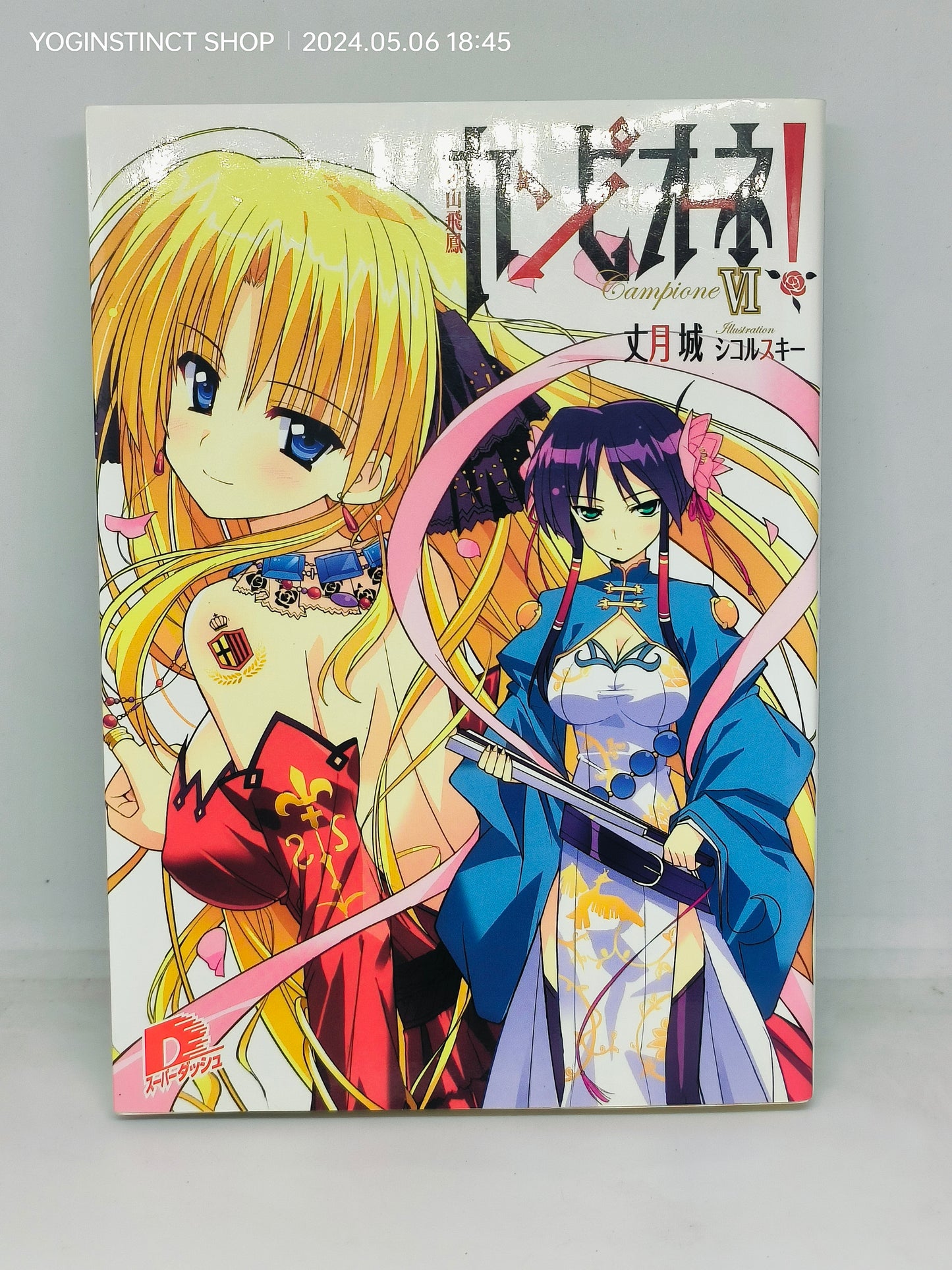 Campione!
Novel series Written by
Jō Taketsuki (9-6)