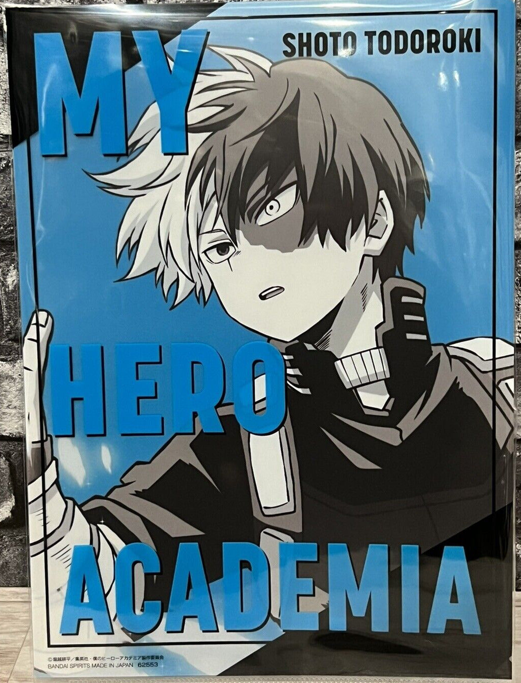 Todoroki Shoto Clear File G prize